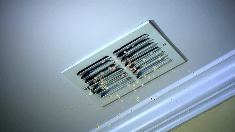 Ductwork Cleaning Services in Rib Mountain, WI