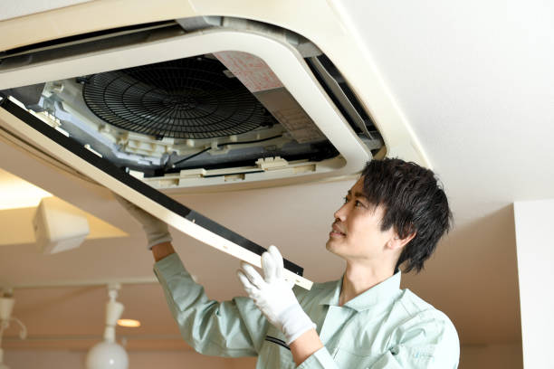 Best Air Duct Mold Removal  in Rib Mountain, WI